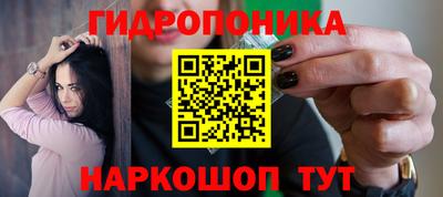 стафф Обнинск