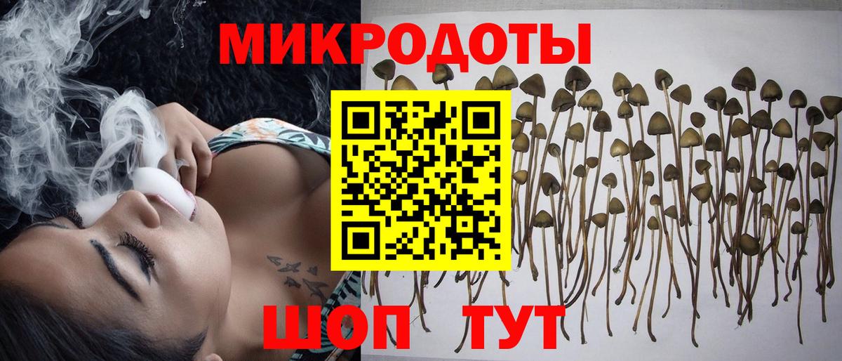 Галлюциногенные грибы прущие грибы  Галлюциногенные грибы MAGIC MUSHROOMS  Вход с VPN  Ангарск 